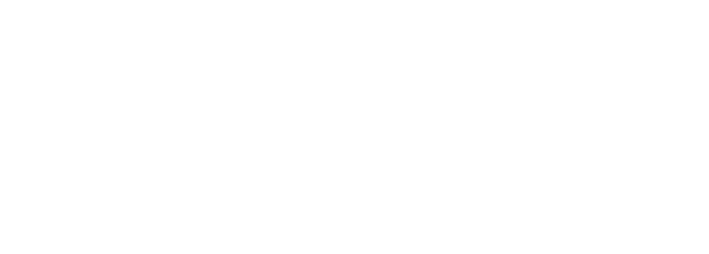 LOGO FHOST BLANCO