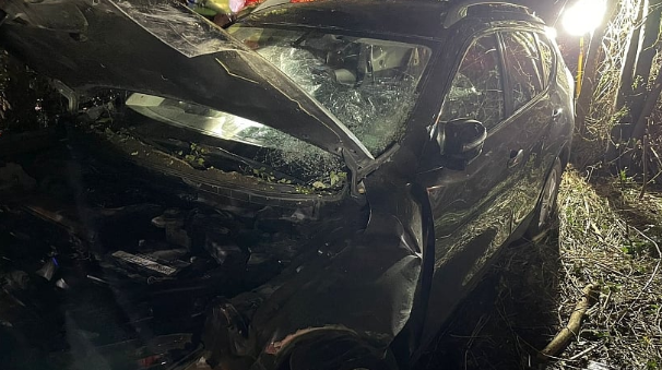 Accidente vehicular en ruta al volcán Osorno dejó a tres lesionados: llaman al autocuidado