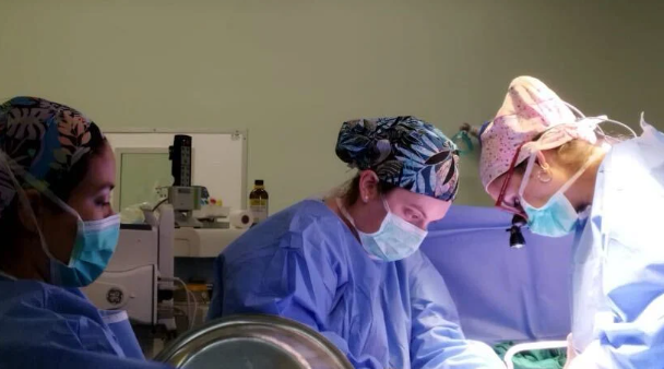 Hospital de Puerto Montt realiza primer procuramiento de organos del 2024